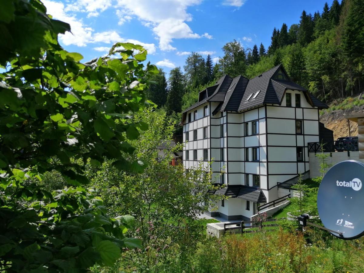 Vila Irina Kopaonik - Apartman Jovana Buitenkant foto