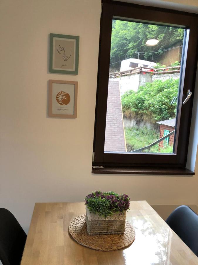 Vila Irina Kopaonik - Apartman Jovana Buitenkant foto