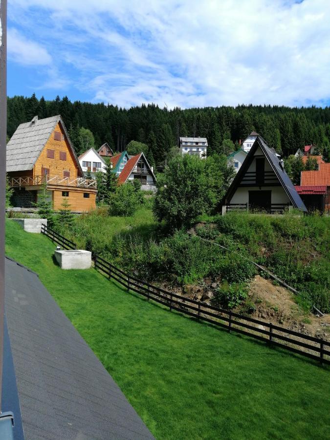 Vila Irina Kopaonik - Apartman Jovana Buitenkant foto