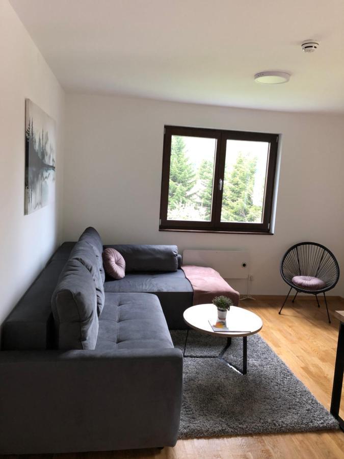 Vila Irina Kopaonik - Apartman Jovana Buitenkant foto