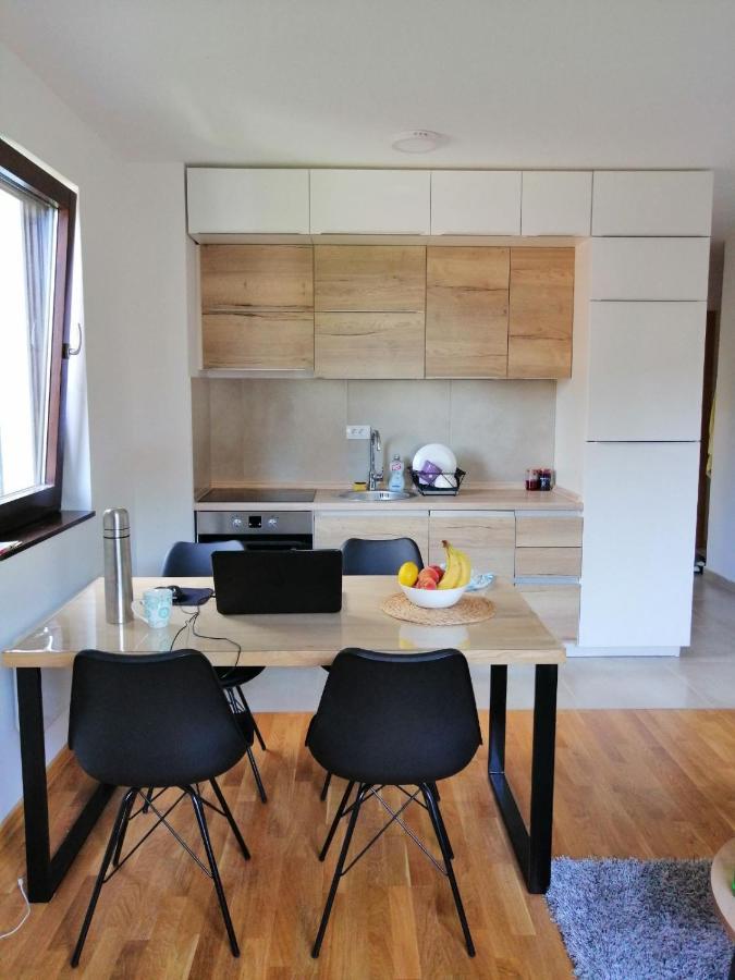 Vila Irina Kopaonik - Apartman Jovana Buitenkant foto