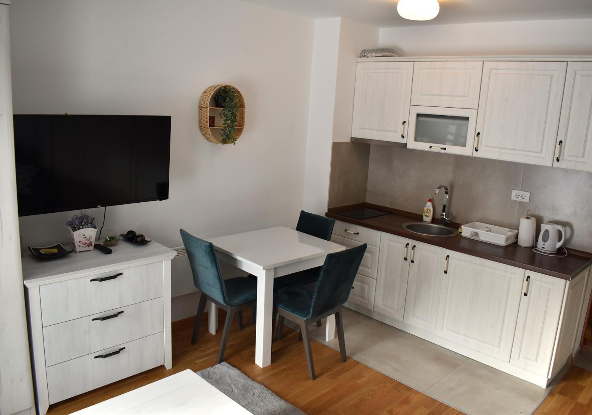 Vila Irina Kopaonik - Apartman Jovana Buitenkant foto